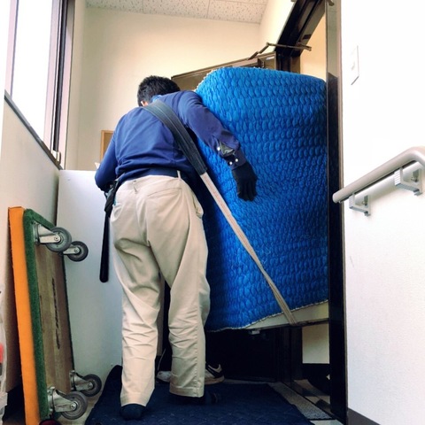 image1.jpeg